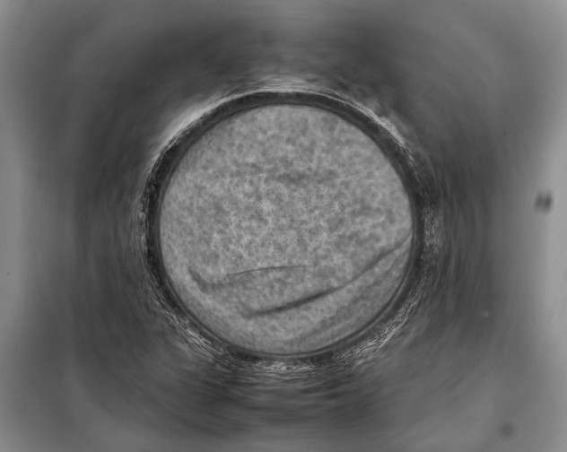 X0000097881311200804110939