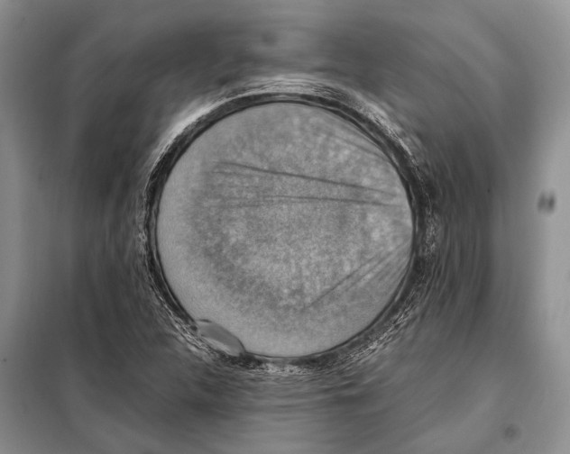 X0000097881312200804110939