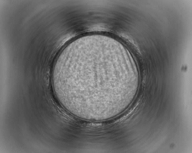 X0000097881313200804110939