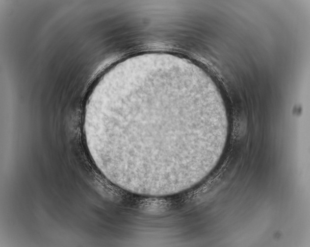 X0000097881314200804110939