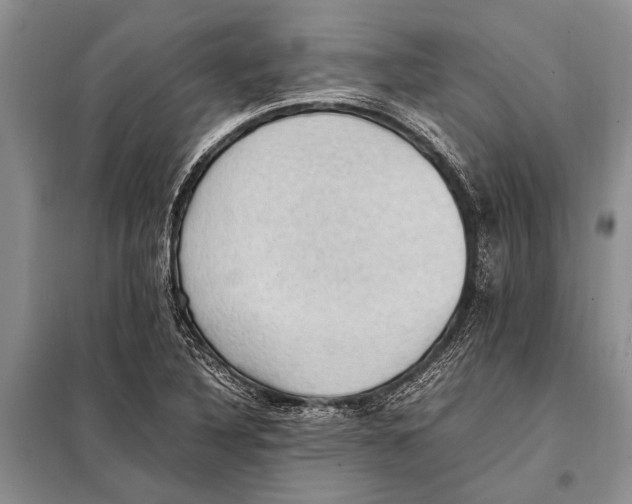 X0000097881316200804110939