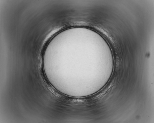 X0000097881317200804110939