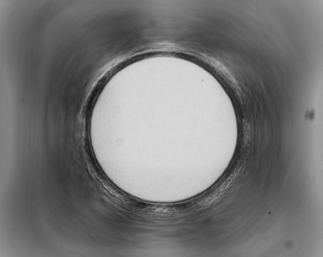 X0000097881318200804110939