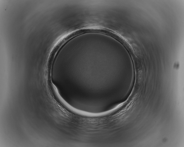 X0000097881319200804110939