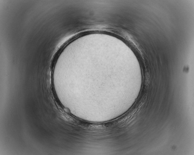 X0000097881320200804110939