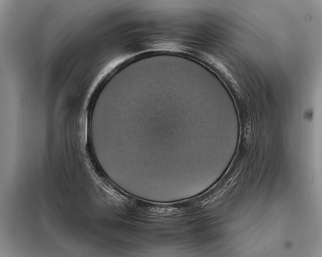 X0000097881323200804110939