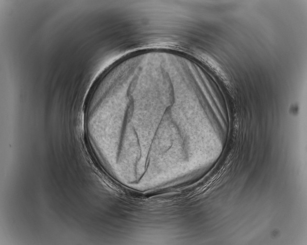 X0000097881324200804110939