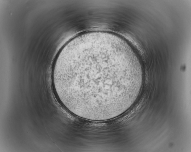 X0000097881325200804110939