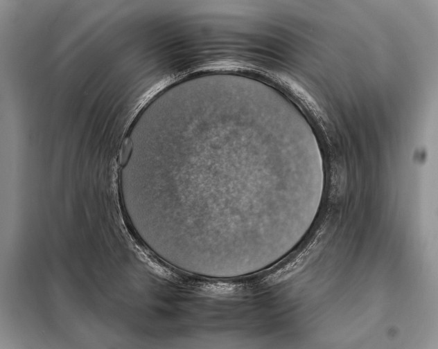 X0000097881329200804110939