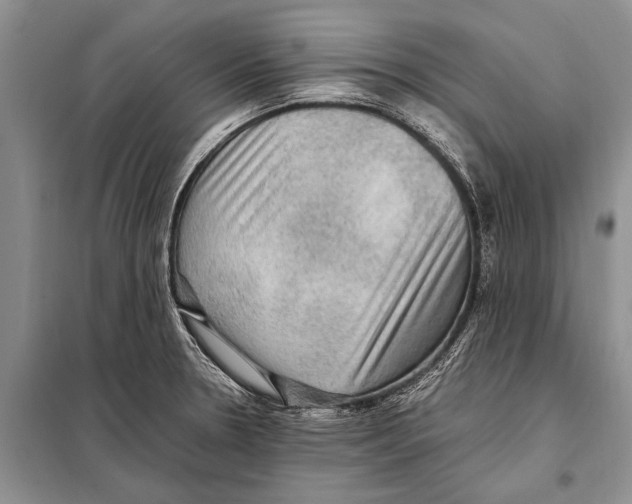 X0000097881330200804110939