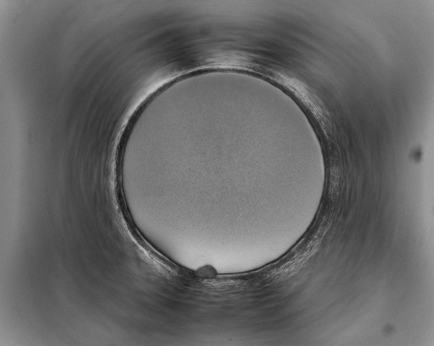 X0000097881331200804110939