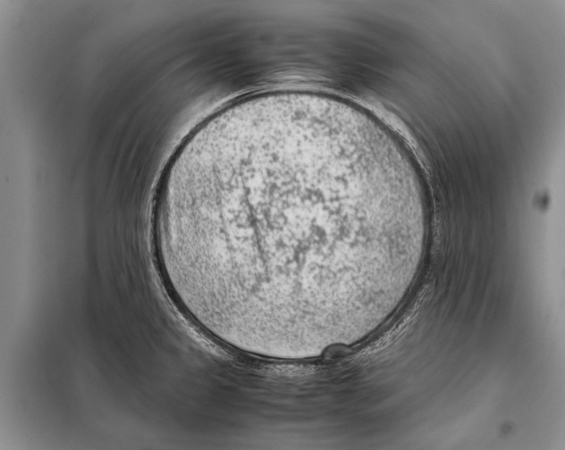 X0000097881333200804110939