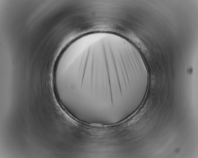 X0000097881334200804110940