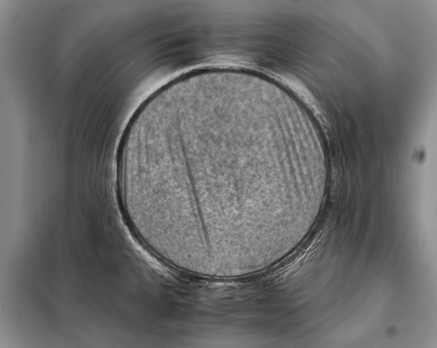 X0000097881335200804110940