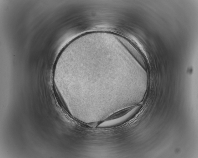 X0000097881336200804110940