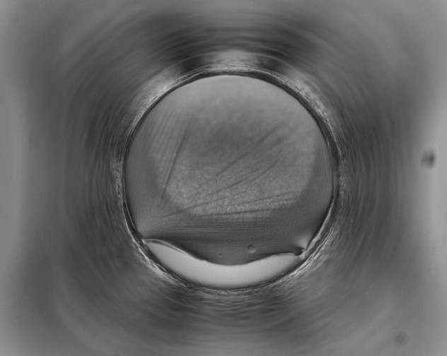 X0000097881337200804110940