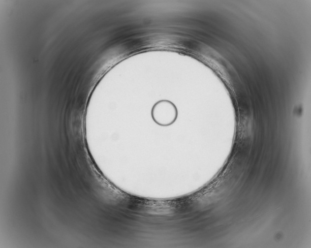 X0000097881338200804110940