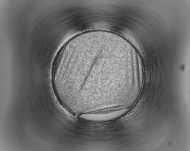 X0000097881339200804110940