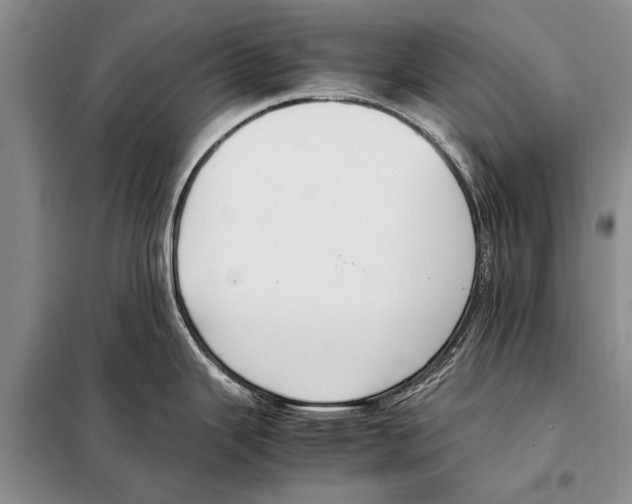 X0000097881343200804110940