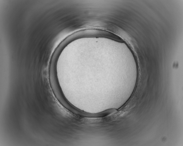 X0000097881344200804110940