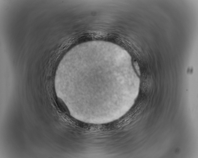 X0000097881345200804110939