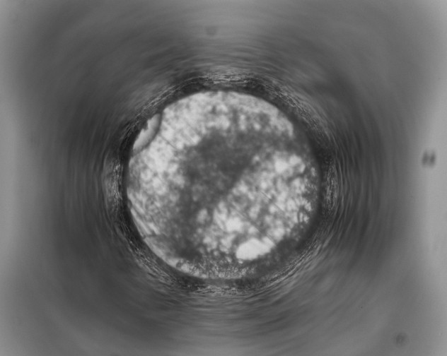 X0000097881346200804110939