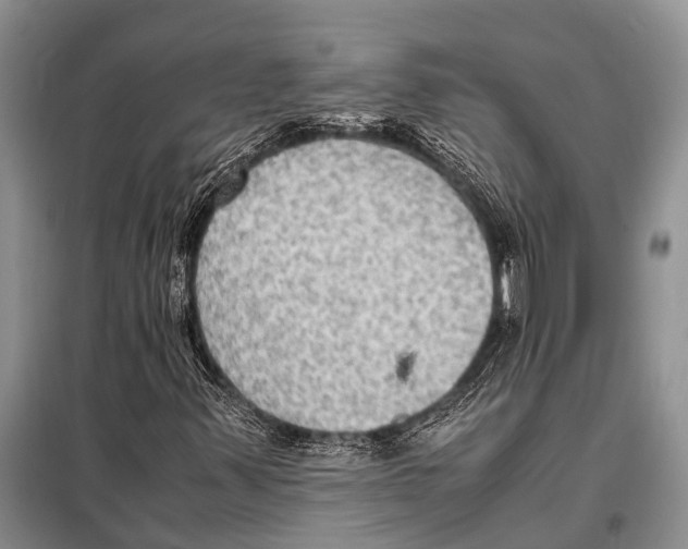 X0000097881347200804110939