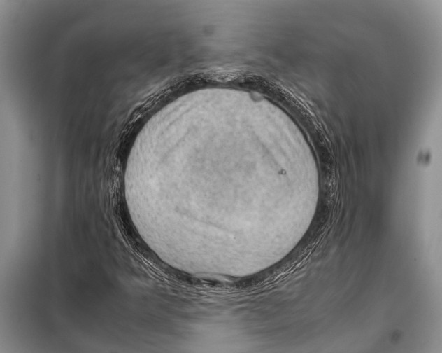 X0000097881349200804110939