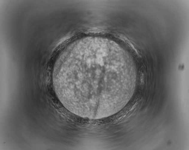 X0000097881350200804110939