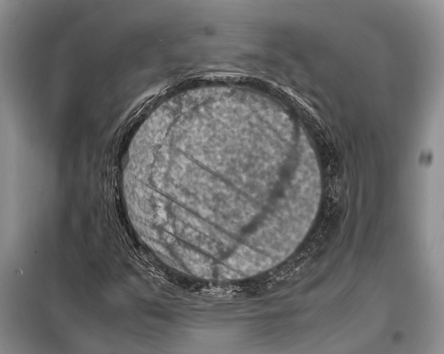 X0000097881351200804110939