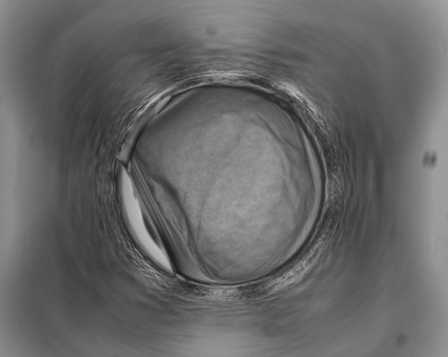 X0000097881353200804110939