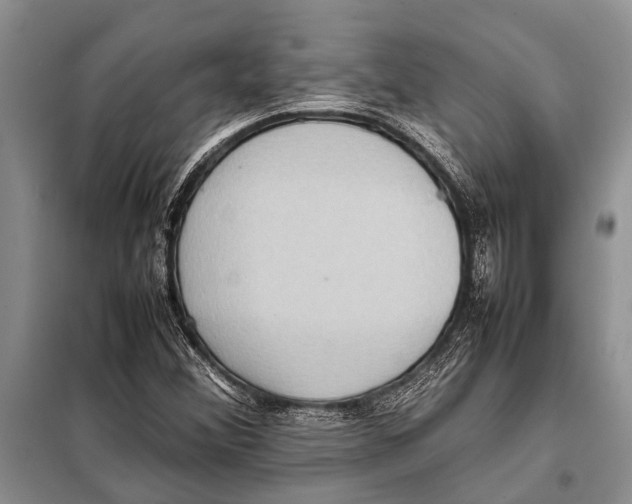 X0000097881356200804110939