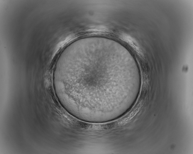 X0000097881357200804110939