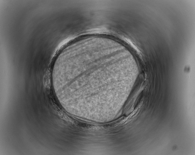 X0000097881358200804110939