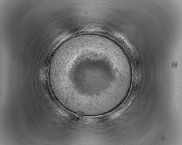 X0000097881361200804110939