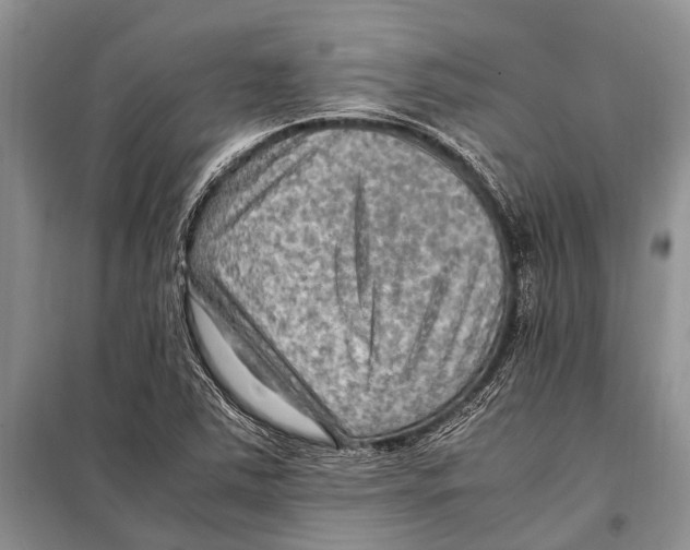 X0000097881363200804110939