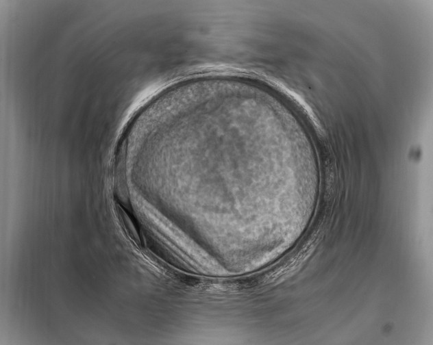 X0000097881365200804110939