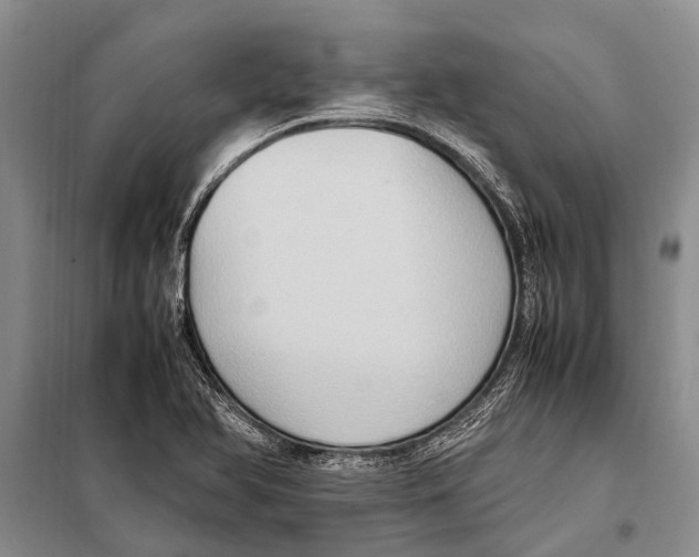 X0000097881366200804110939