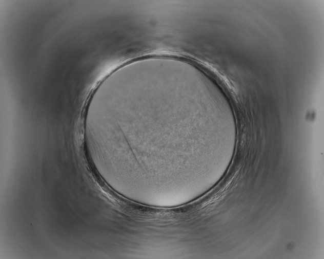 X0000097881367200804110939