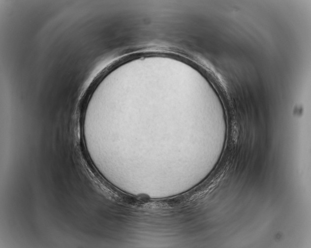 X0000097881368200804110939