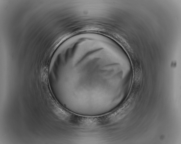 X0000097881369200804110939