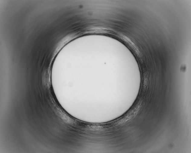 X0000097881370200804110939