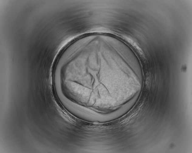 X0000097881372200804110938