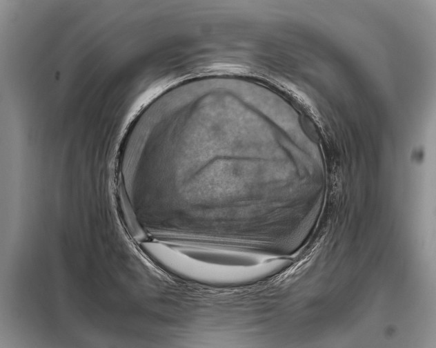 X0000097881373200804110938