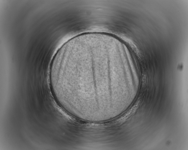 X0000097881374200804110938