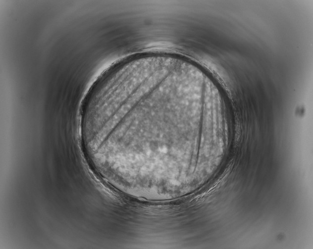 X0000097881376200804110938