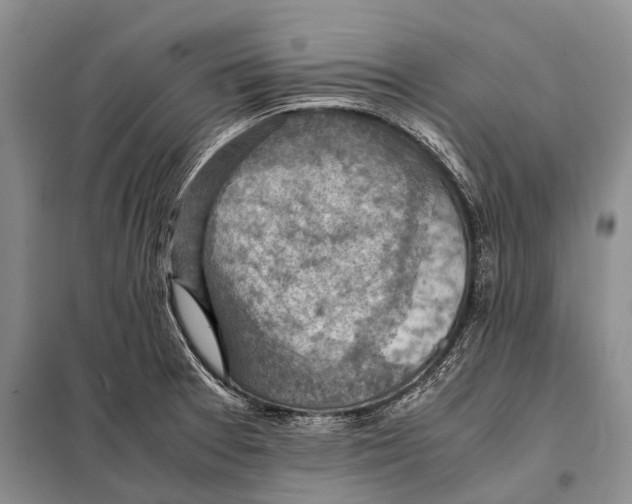 X0000097881377200804110938