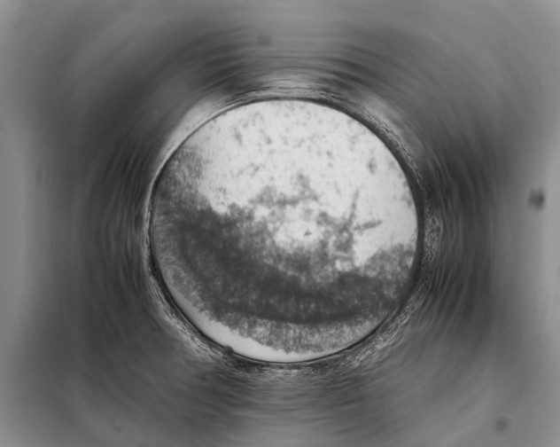 X0000097881378200804110938