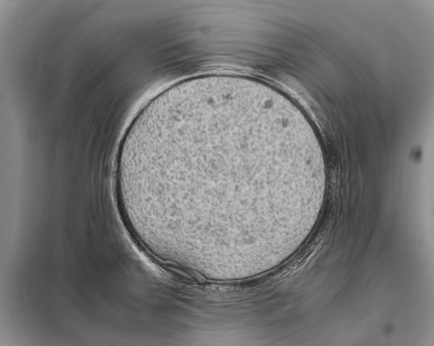 X0000097881379200804110938