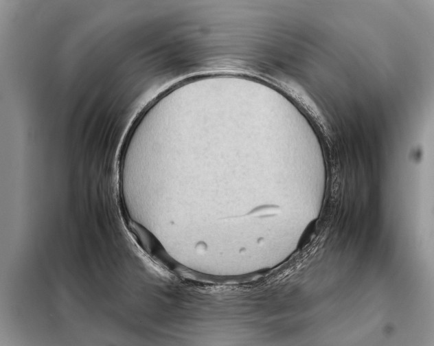 X0000097881380200804110938